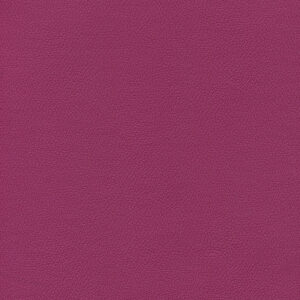 Boysenberry Margarita