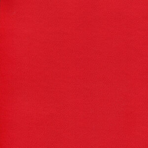 Classic American Beauty