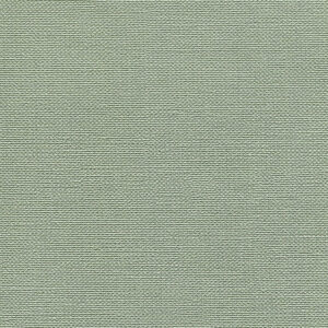 Cactus Makes Perfect