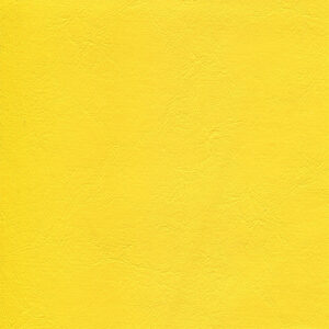 Sunshine Yellow